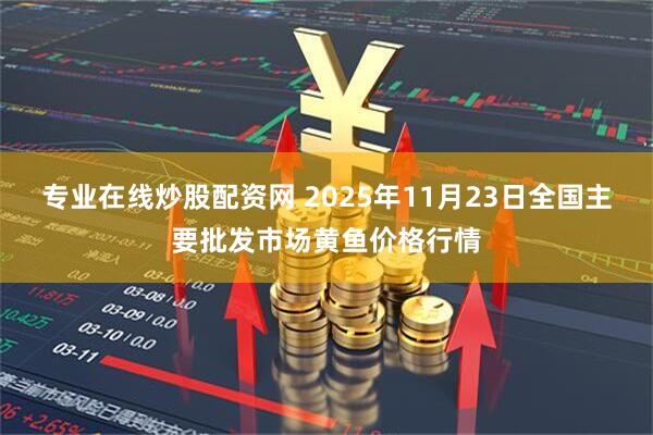 专业在线炒股配资网 2025年11月23日全国主要批发市场黄鱼价格行情