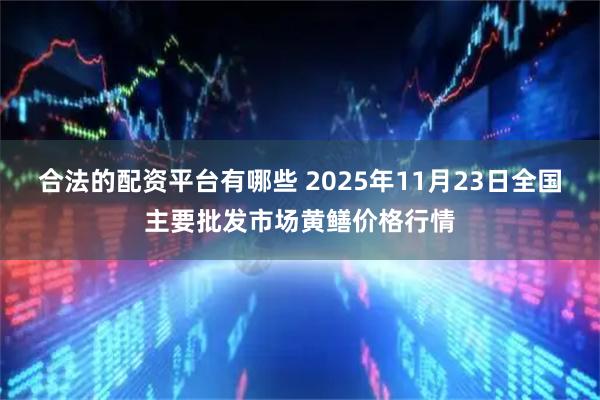 合法的配资平台有哪些 2025年11月23日全国主要批发市场黄鳝价格行情